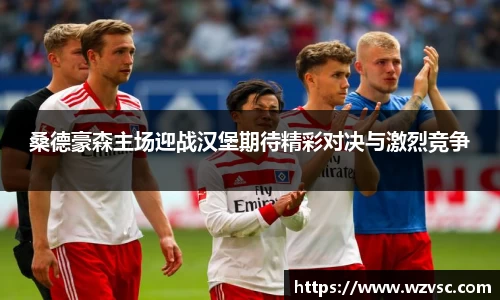 桑德豪森主场迎战汉堡期待精彩对决与激烈竞争